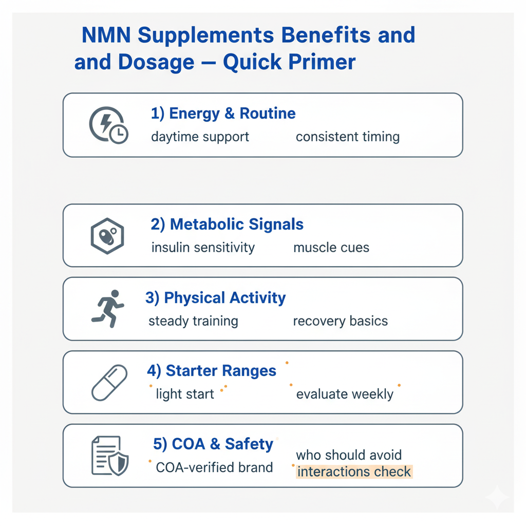 nmn supplements benefits and dosage — infographic: energy & routine, metabolic signals, activity, starter ranges, and COA/safety